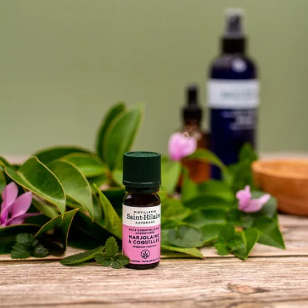 Huile Essentielle de Marjolaine à Coquille Bio
