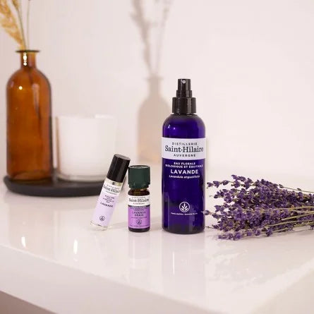 Huile Essentielle Bio de Lavande Vraie