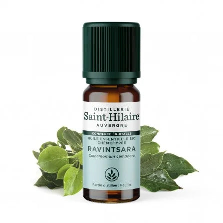 Huile Essentielle Bio de Ravintsara
