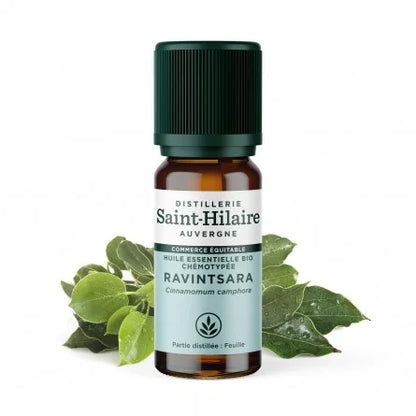 Huile Essentielle Bio de Ravintsara